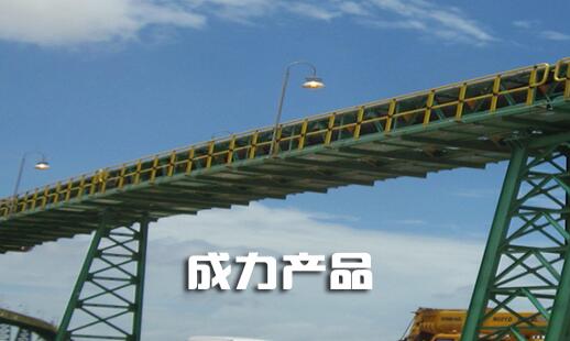 深圳南山区成力科技贸易有限公司